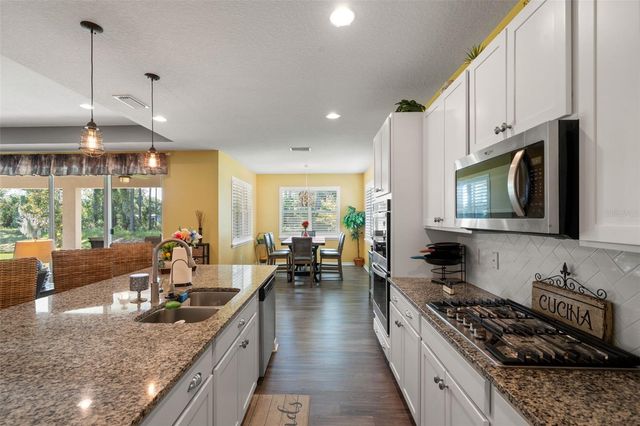 19620 LONESOME PINE DRIVE, Land O Lakes, FL 34638