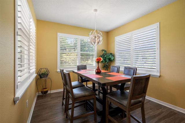19620 LONESOME PINE DRIVE, Land O Lakes, FL 34638