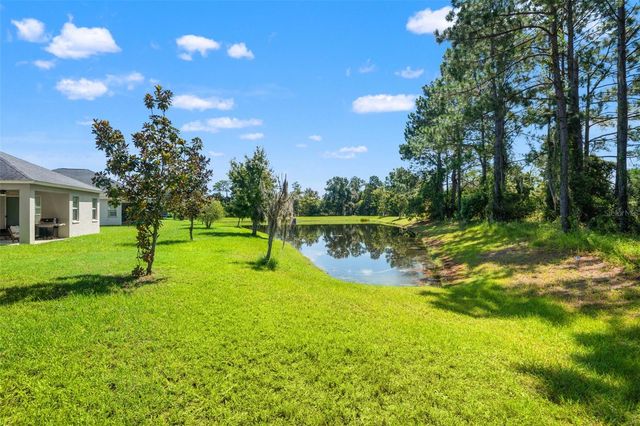 19620 LONESOME PINE DRIVE, Land O Lakes, FL 34638