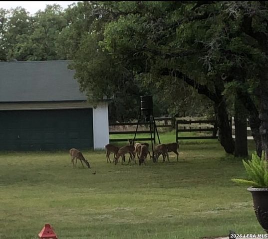 837 Paddy Rd, Floresville, TX 78114