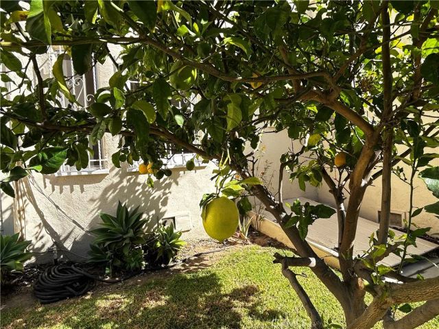 935 S Alandele Avenue, Los Angeles, CA 90036