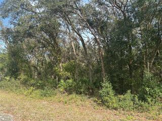 9114 REALSTONE DRIVE, Webster, FL 33597