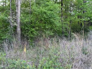 4222 Jeffries Road, Durham, NC 27704
