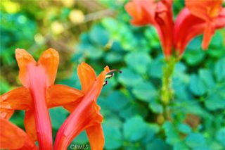 79927 Viento, La Quinta, CA 92253