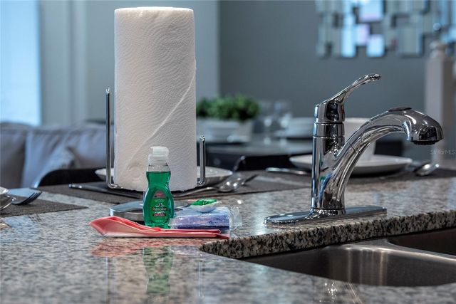 4611 TERRASONESTA DRIVE, Davenport, FL 33837