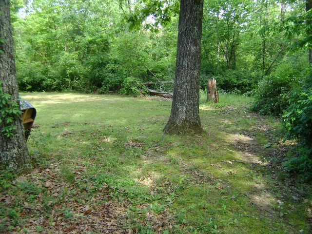 305 Bambi Lane, Horseshoe Bend, AR 72512