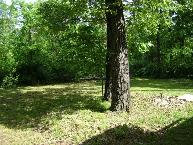 305 Bambi Lane, Horseshoe Bend, AR 72512