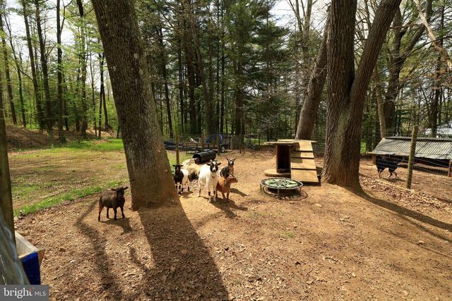 2523 PENNINGTON RD, Tyrone, PA 16686