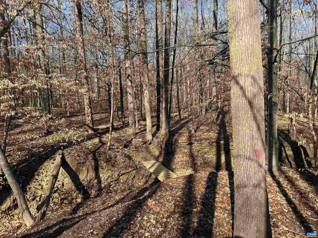 2019 BYBEE RD, Louisa, VA 23093