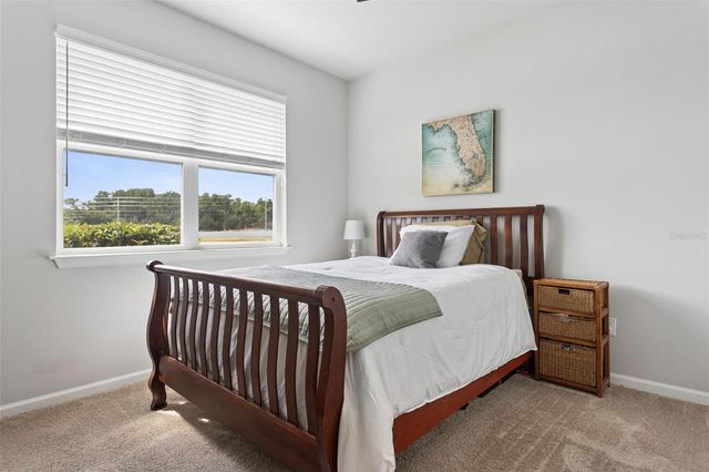 4317 CLOUD HOPPER WAY, Lutz, FL 33559