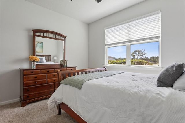 4317 CLOUD HOPPER WAY, Lutz, FL 33559