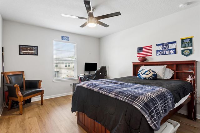 4317 CLOUD HOPPER WAY, Lutz, FL 33559