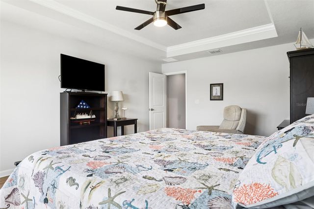 4317 CLOUD HOPPER WAY, Lutz, FL 33559