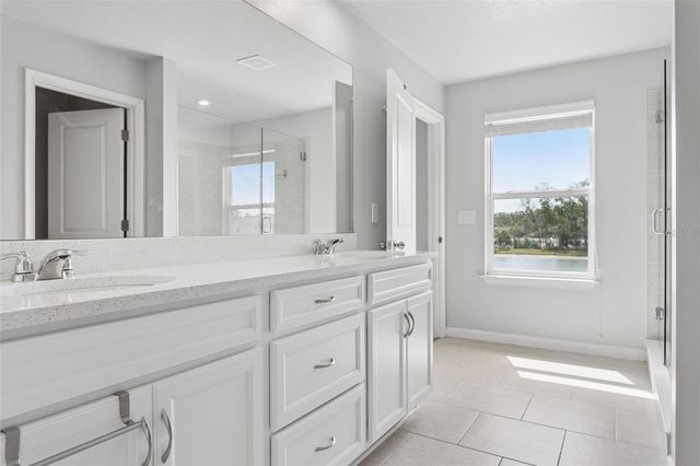 4317 CLOUD HOPPER WAY, Lutz, FL 33559