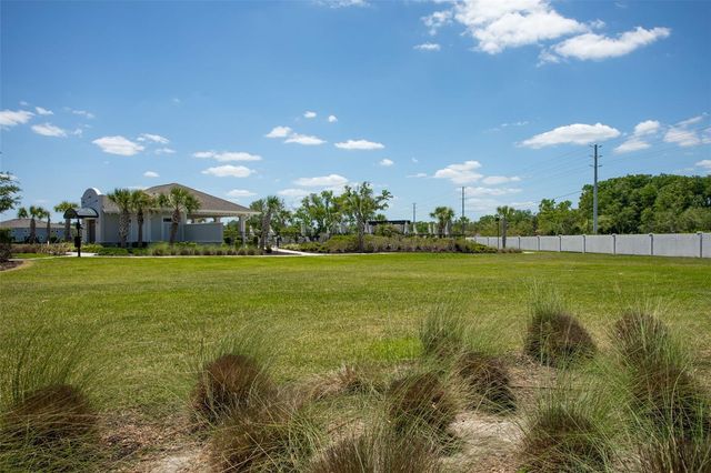 4317 CLOUD HOPPER WAY, Lutz, FL 33559