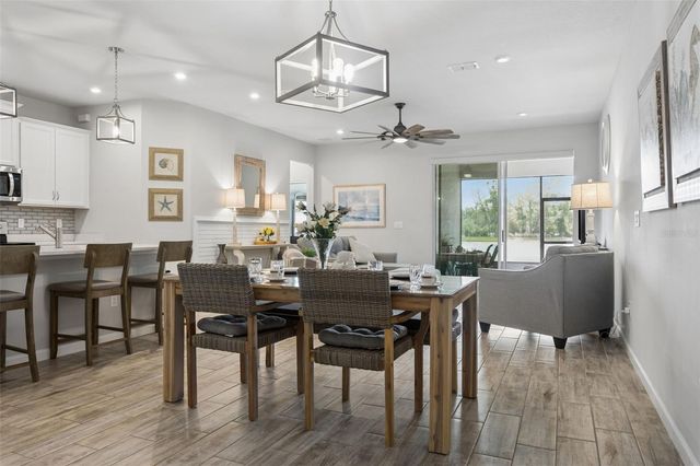 4317 CLOUD HOPPER WAY, Lutz, FL 33559