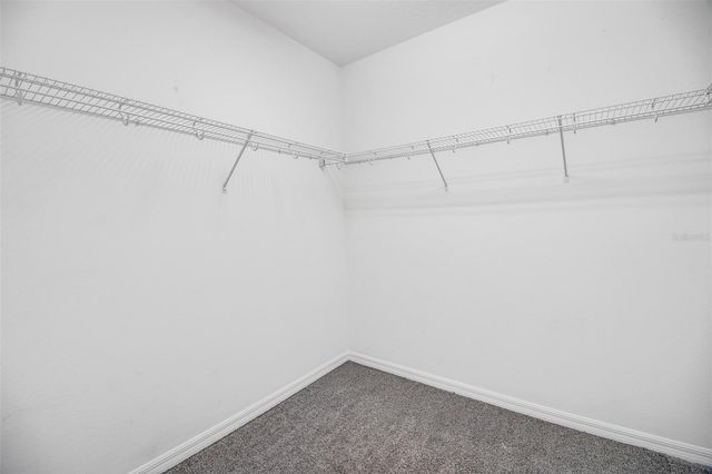 116 ISLABELLA WAY, Groveland, FL 34736