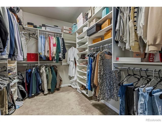 5043 Oakley Drive, Timnath, CO 80547