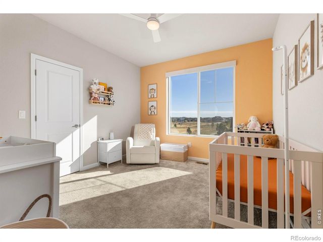 5043 Oakley Drive, Timnath, CO 80547