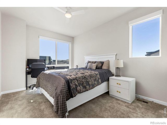 5043 Oakley Drive, Timnath, CO 80547