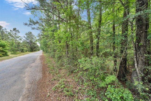 399 Pool Rd, Richards, TX 77873