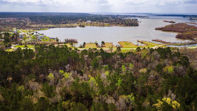 160 Triple Creek Drive, Livingston, TX 77351
