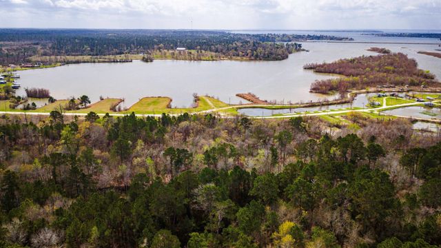 160 Triple Creek Drive, Livingston, TX 77351