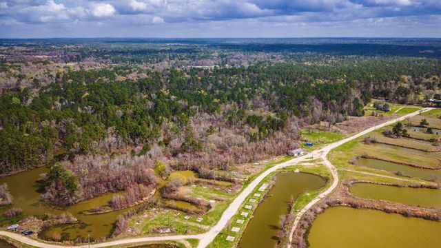 160 Triple Creek Drive, Livingston, TX 77351