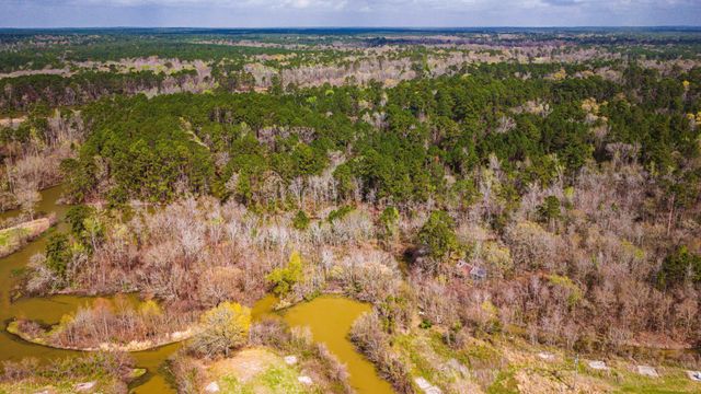 160 Triple Creek Drive, Livingston, TX 77351