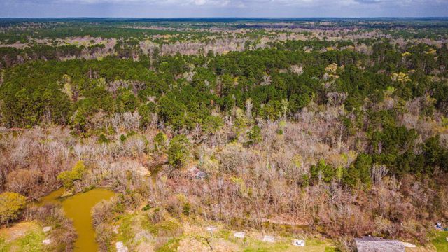 160 Triple Creek Drive, Livingston, TX 77351