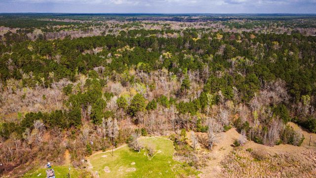 160 Triple Creek Drive, Livingston, TX 77351