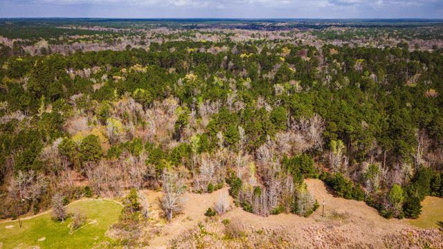 160 Triple Creek Drive, Livingston, TX 77351
