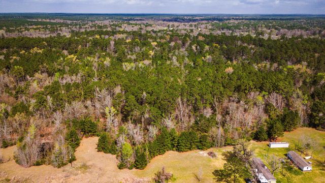 160 Triple Creek Drive, Livingston, TX 77351