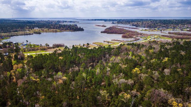 160 Triple Creek Drive, Livingston, TX 77351