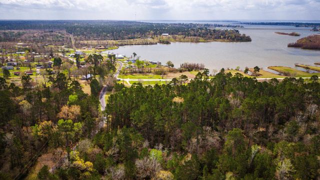 160 Triple Creek Drive, Livingston, TX 77351