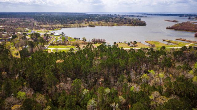 160 Triple Creek Drive, Livingston, TX 77351