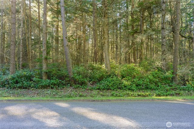 0 King's Point Road, Lopez Island, WA 98261