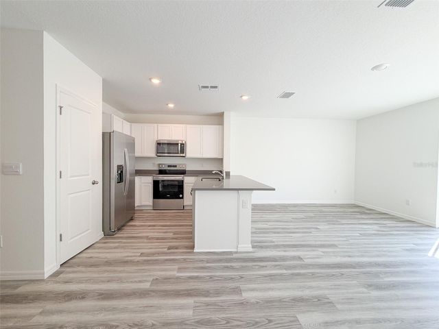 31276 PAPER BIRCH STREET, Wesley Chapel, FL 33545