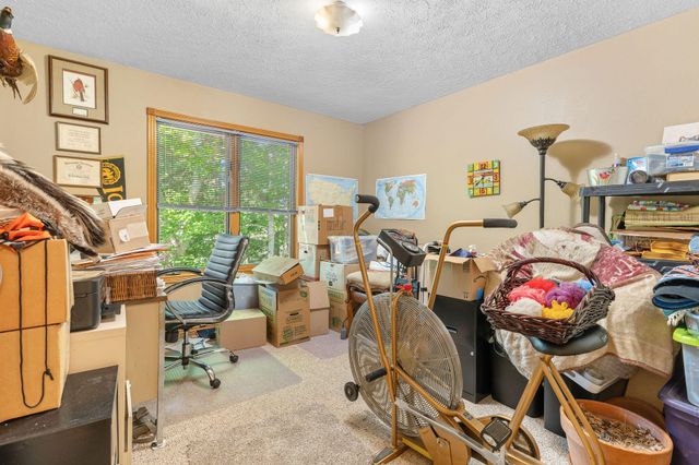 379 Turkey Tree Road, Galena, MO 65656