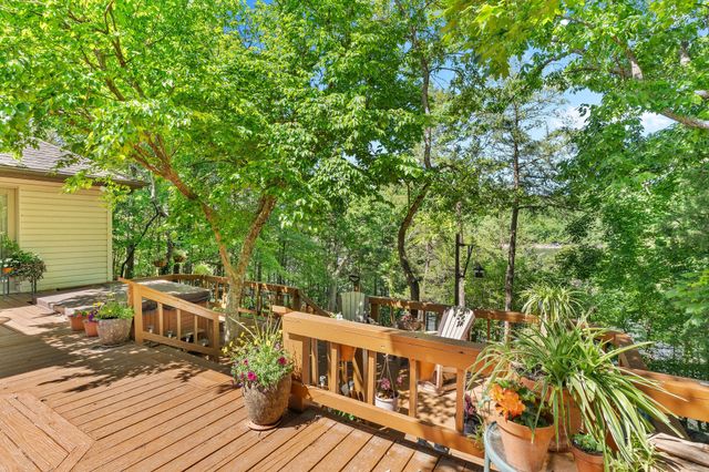 379 Turkey Tree Road, Galena, MO 65656