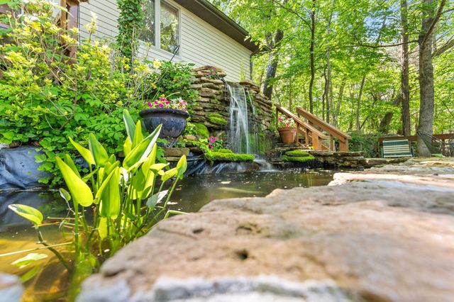 379 Turkey Tree Road, Galena, MO 65656