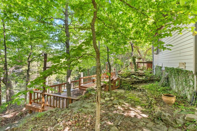 379 Turkey Tree Road, Galena, MO 65656