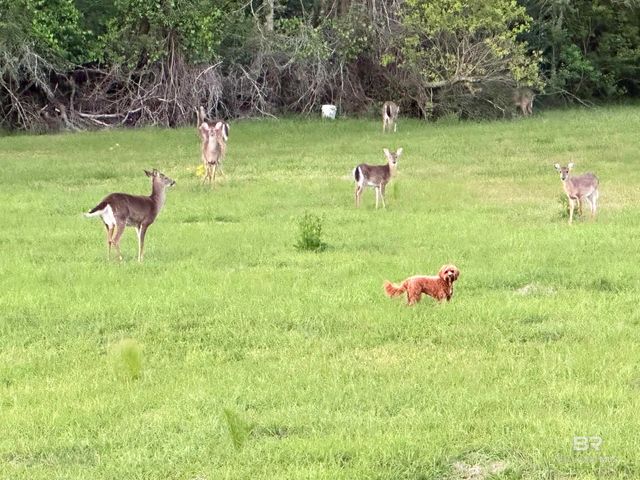 12355 Coyote Drive, Spanish Fort, AL 36527