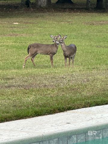 12355 Coyote Drive, Spanish Fort, AL 36527