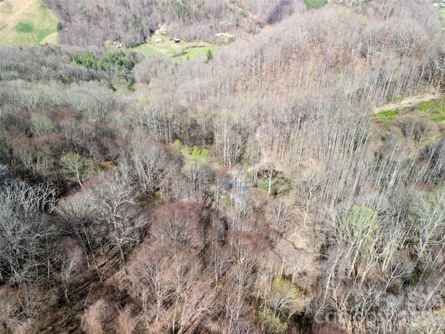 40 acres Charity Lane, Burnsville, NC 28714