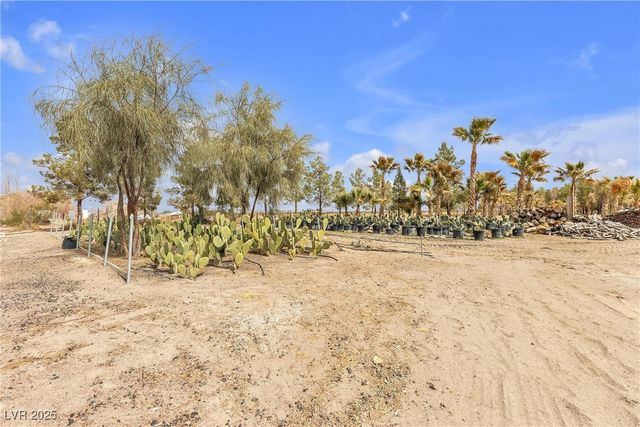 2253 North Saddleback Drive, Amargosa Valley, NV 89020