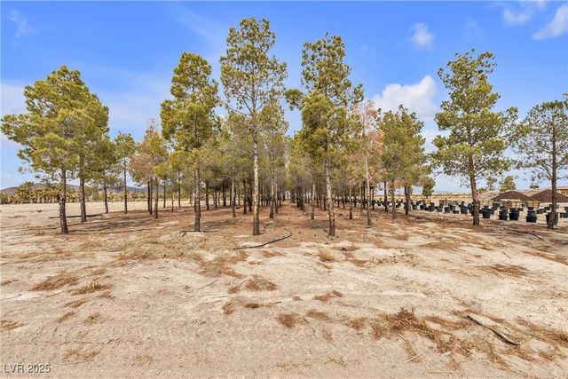 2253 North Saddleback Drive, Amargosa Valley, NV 89020