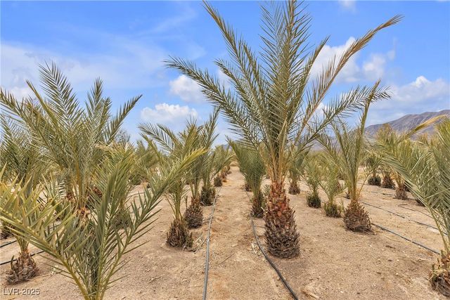 2253 North Saddleback Drive, Amargosa Valley, NV 89020