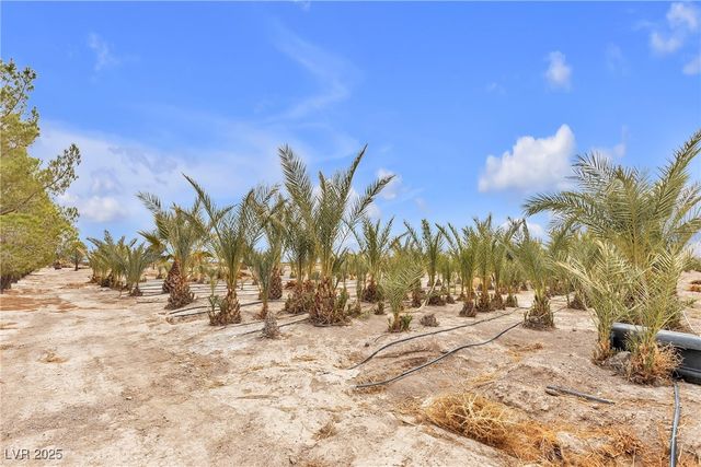 2253 North Saddleback Drive, Amargosa Valley, NV 89020