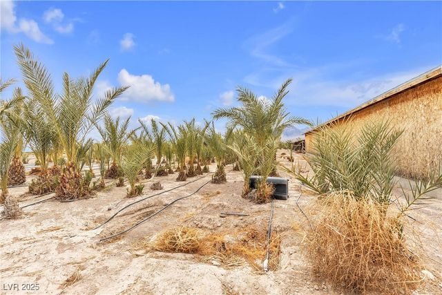 2253 North Saddleback Drive, Amargosa Valley, NV 89020